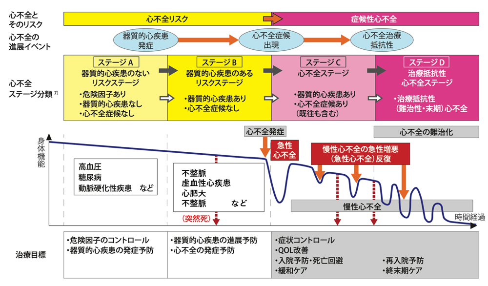 心不全とは？｜宗岡みらい内科ハートクリニック 志木市 内科
